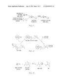 POLYMERIZED CONJUGATES FOR BIOLOGICAL APPLICATIONS diagram and image