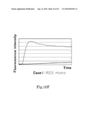 Allele Determining Device, Allele Determining Method And Computer Program diagram and image