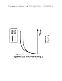 Allele Determining Device, Allele Determining Method And Computer Program diagram and image