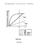 Allele Determining Device, Allele Determining Method And Computer Program diagram and image