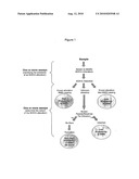 DIAGNOSTIC METHOD FOR EPILEPSY diagram and image