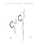 IMMUNOASSAY FOR QUANTIFICATION OF AN UNSTABLE ANTIGEN SELECTED FROM BNP AND proBNP diagram and image