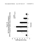 METHODS OF USING GPR119 TO IDENTIFY COMPOUNDS USEFUL FOR INCREASING BONE MASS IN AN INDIVIDUAL diagram and image