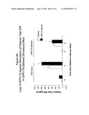 METHODS OF USING GPR119 TO IDENTIFY COMPOUNDS USEFUL FOR INCREASING BONE MASS IN AN INDIVIDUAL diagram and image