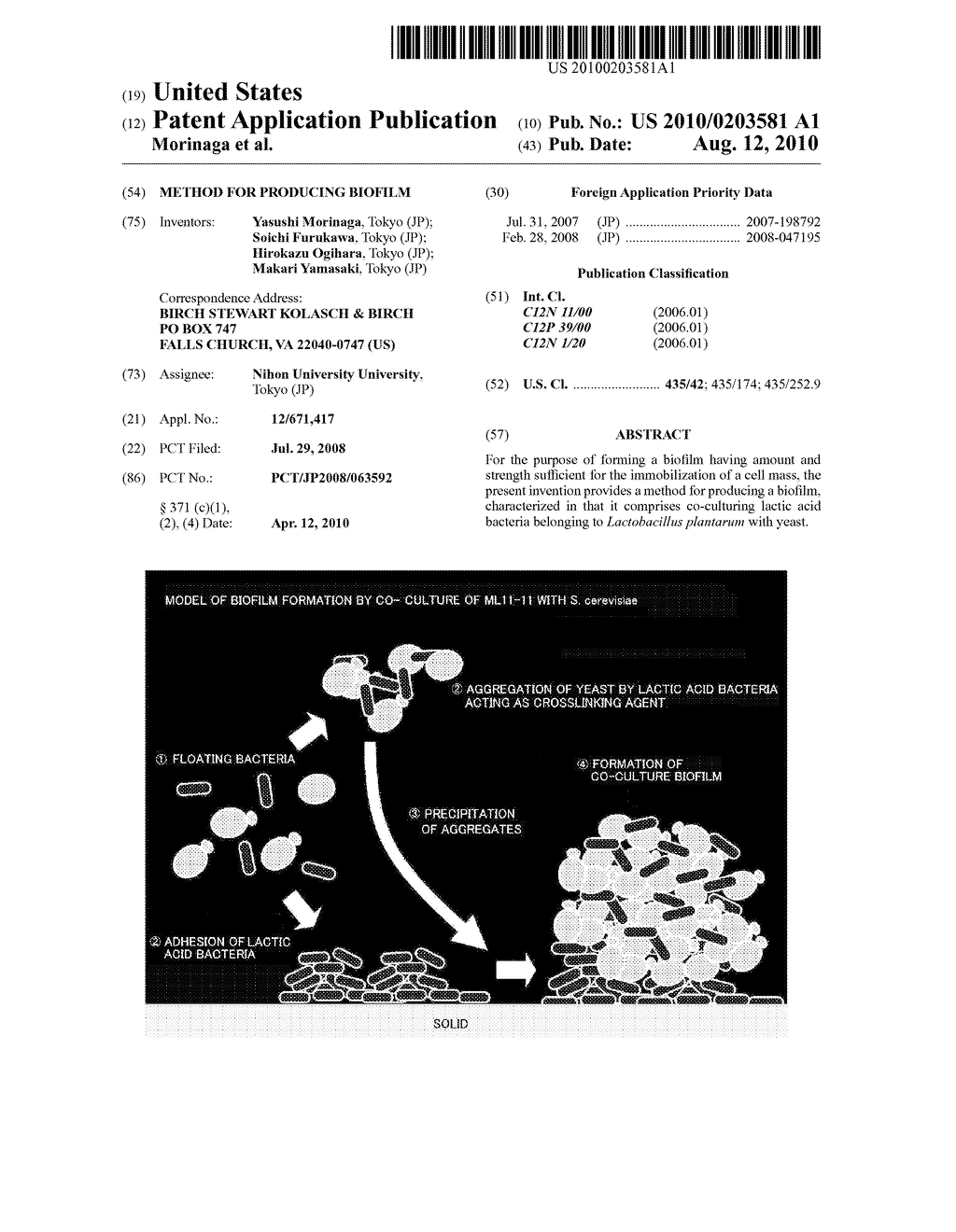 METHOD FOR PRODUCING BIOFILM - diagram, schematic, and image 01