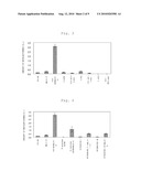 METHOD FOR PRODUCING BIOFILM diagram and image