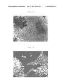 METHOD FOR PRODUCING BIOFILM diagram and image