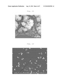METHOD FOR PRODUCING BIOFILM diagram and image