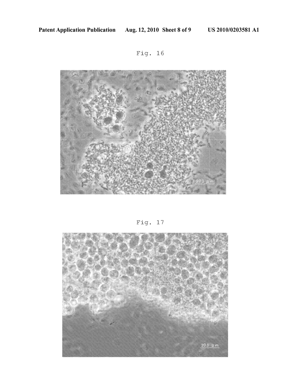 METHOD FOR PRODUCING BIOFILM - diagram, schematic, and image 09