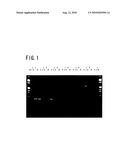 High-speed pcr using high-speed dna polymerase diagram and image