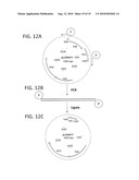 Materials and Methods for Efficient Lactic Acid Production diagram and image