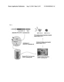 SPECIFIC PEPTIDE BINDING TO GLYPICAN-3 diagram and image