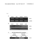 SPECIFIC PEPTIDE BINDING TO GLYPICAN-3 diagram and image