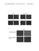 SPECIFIC PEPTIDE BINDING TO GLYPICAN-3 diagram and image