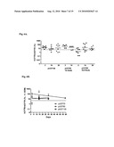 LONG-TERM IN VIVO TRANSGENE EXPRESSION diagram and image