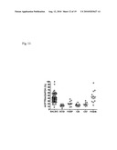 LONG-TERM IN VIVO TRANSGENE EXPRESSION diagram and image