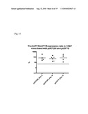 LONG-TERM IN VIVO TRANSGENE EXPRESSION diagram and image