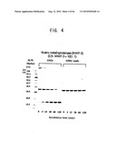 Novel modified galectin 9 proteins and use thereof diagram and image