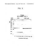 Novel modified galectin 9 proteins and use thereof diagram and image