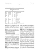 Novel modified galectin 9 proteins and use thereof diagram and image