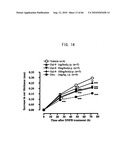 Novel modified galectin 9 proteins and use thereof diagram and image