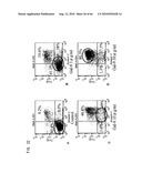 Novel modified galectin 9 proteins and use thereof diagram and image