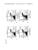 Novel modified galectin 9 proteins and use thereof diagram and image