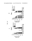 Novel modified galectin 9 proteins and use thereof diagram and image