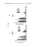 Novel modified galectin 9 proteins and use thereof diagram and image