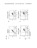 Novel modified galectin 9 proteins and use thereof diagram and image