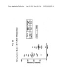 Novel modified galectin 9 proteins and use thereof diagram and image