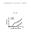 Novel modified galectin 9 proteins and use thereof diagram and image