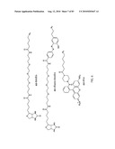 Chemical Reporters of Protein Acylation diagram and image