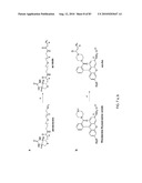 Chemical Reporters of Protein Acylation diagram and image