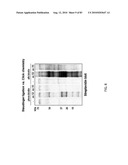 Chemical Reporters of Protein Acylation diagram and image