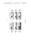 Chemical Reporters of Protein Acylation diagram and image