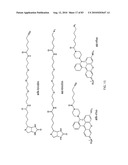 Chemical Reporters of Protein Acylation diagram and image