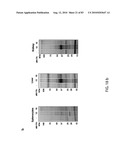 Chemical Reporters of Protein Acylation diagram and image