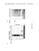 Chemical Reporters of Protein Acylation diagram and image