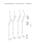 Chemical Reporters of Protein Acylation diagram and image