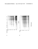 Chemical Reporters of Protein Acylation diagram and image