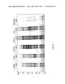 Chemical Reporters of Protein Acylation diagram and image