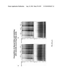 Chemical Reporters of Protein Acylation diagram and image