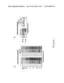 Chemical Reporters of Protein Acylation diagram and image