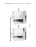 Chemical Reporters of Protein Acylation diagram and image