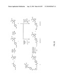 Chemical Reporters of Protein Acylation diagram and image