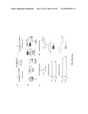 Chemical Reporters of Protein Acylation diagram and image