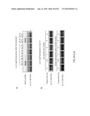 Chemical Reporters of Protein Acylation diagram and image