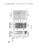 Chemical Reporters of Protein Acylation diagram and image