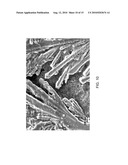 METHODS OF FABRICATING NANOSTRUCTURED ZnO ELECTRODES FOR EFFICIENT DYE SENSITIZED SOLAR CELLS diagram and image